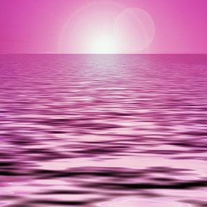 Meet your Posher, Jaden